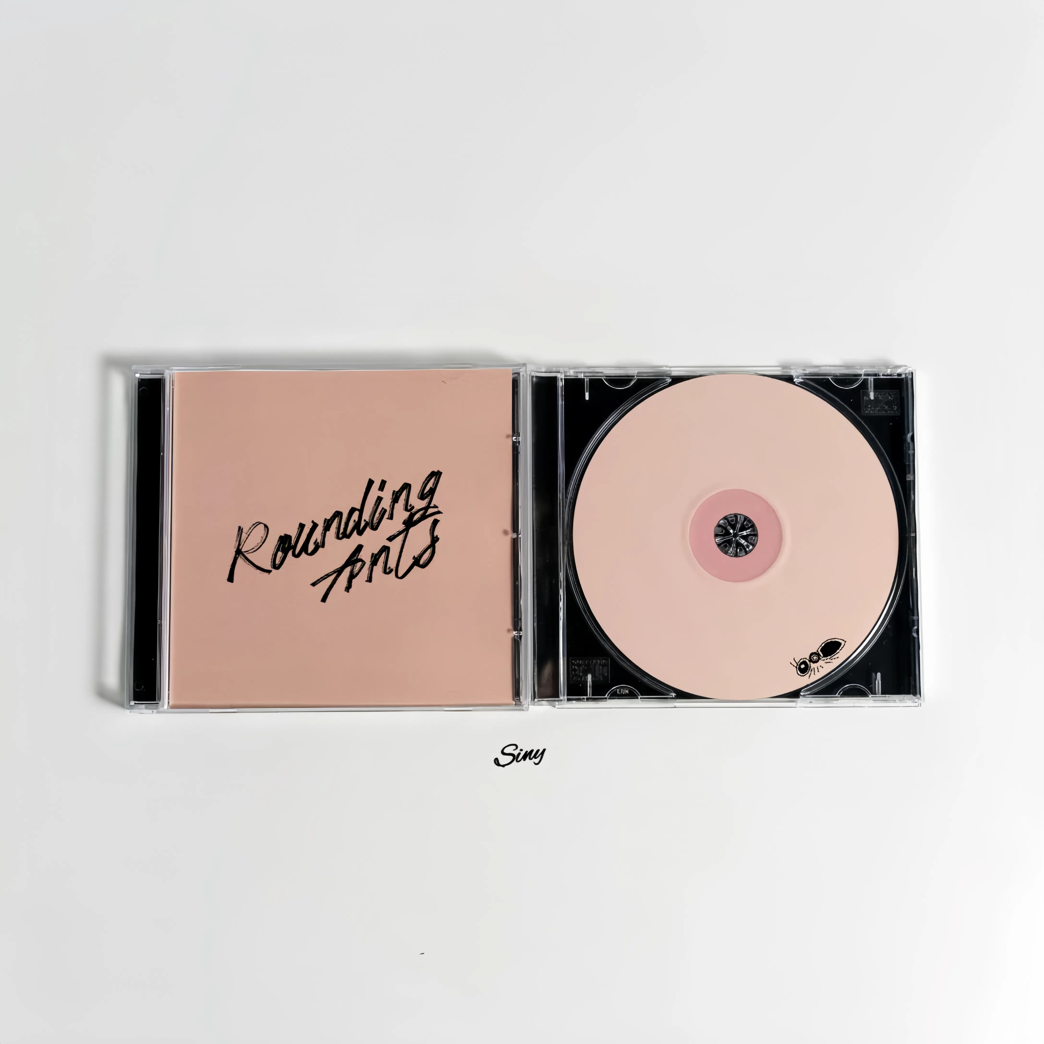 环行蚂蚁 RoundingAnts cover