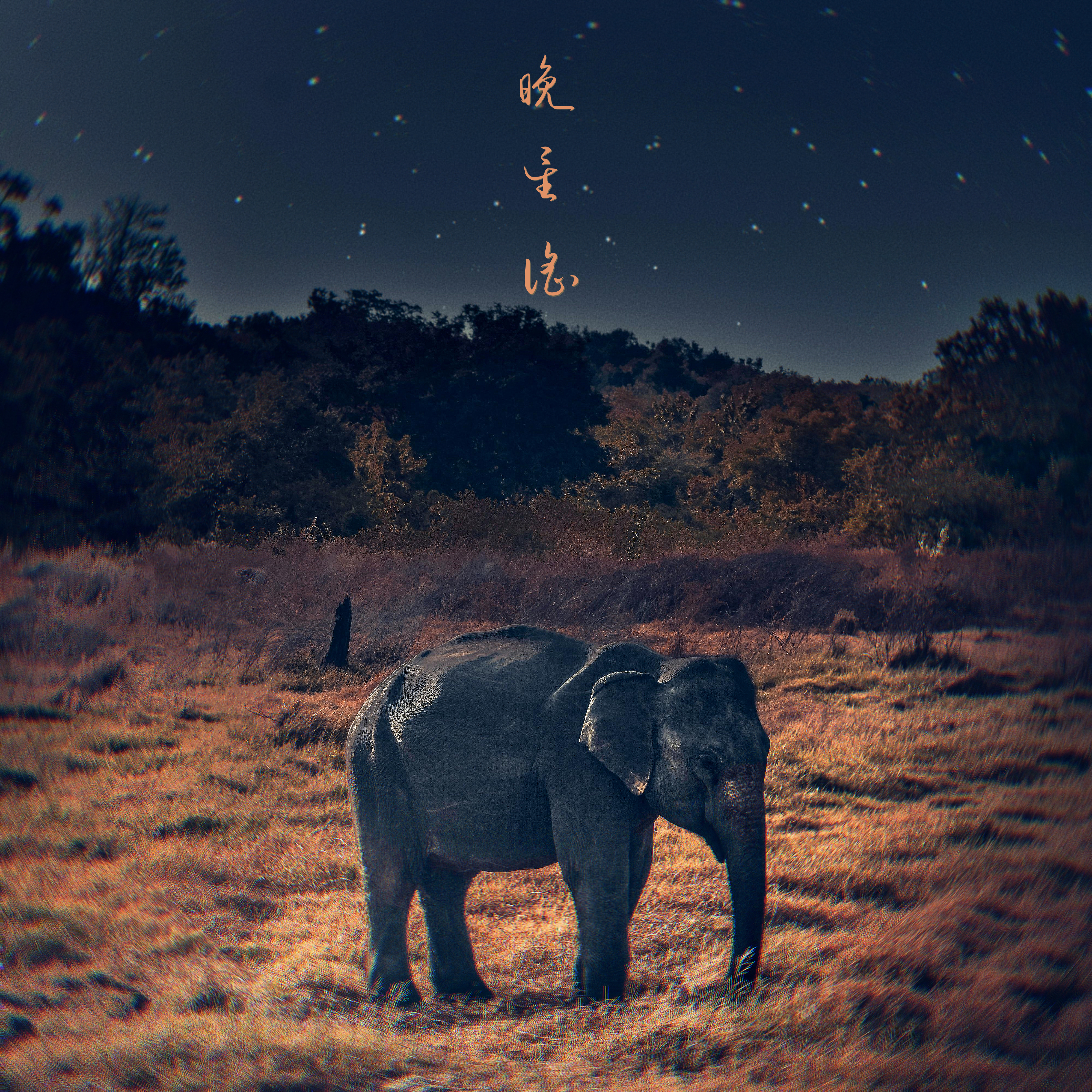 晚星谣 StarLullaby cover